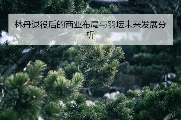 lin-dan-tui-yi-hou-de-shang-ye-bu-ju-yu-yu-tan-wei-lai-fa-zhan-fen-xi-2-138.jpg